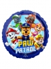 PAW PATROL Standard C S60