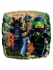 17 Standard Lego Ninjago S60